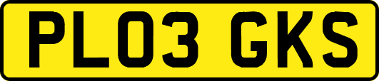 PL03GKS