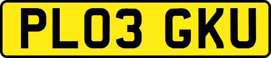 PL03GKU