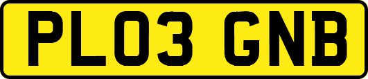 PL03GNB