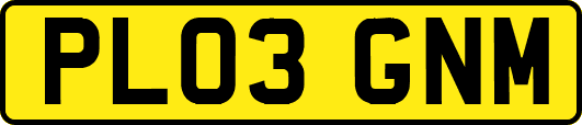 PL03GNM