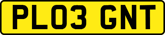 PL03GNT