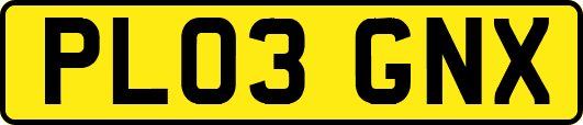 PL03GNX