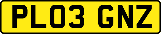 PL03GNZ