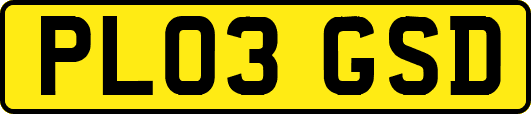 PL03GSD