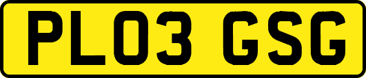 PL03GSG
