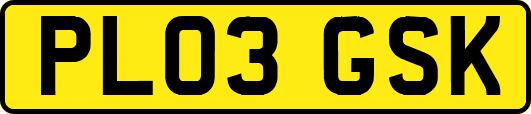 PL03GSK