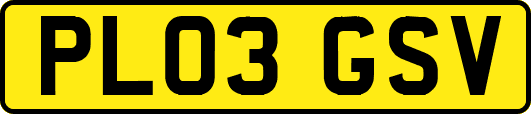 PL03GSV