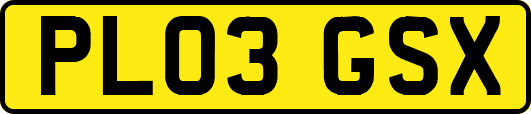 PL03GSX