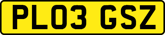 PL03GSZ