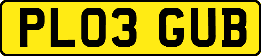 PL03GUB