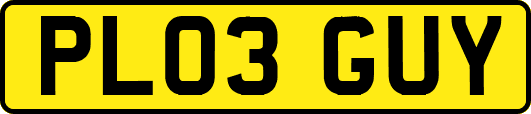 PL03GUY