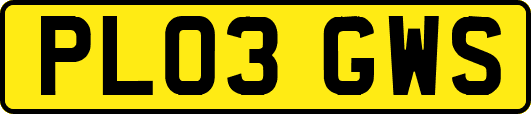 PL03GWS