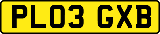 PL03GXB