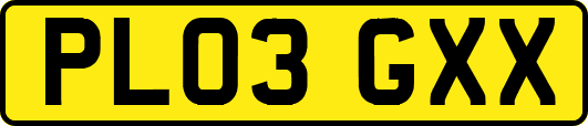 PL03GXX