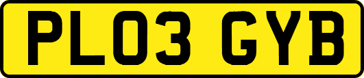 PL03GYB