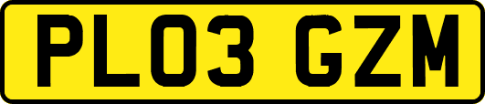 PL03GZM