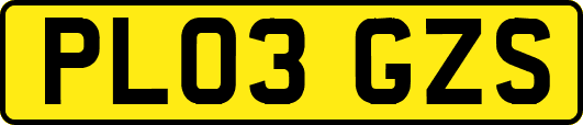 PL03GZS
