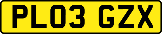 PL03GZX