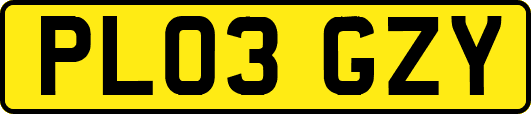PL03GZY