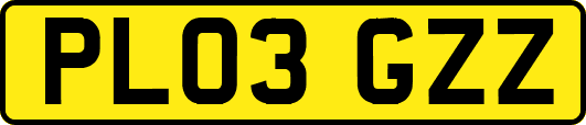 PL03GZZ