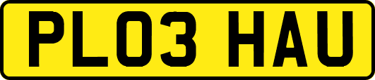 PL03HAU