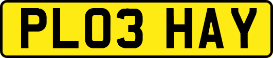 PL03HAY
