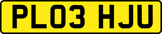 PL03HJU