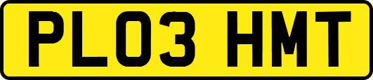 PL03HMT