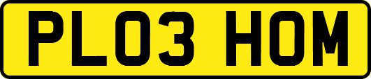 PL03HOM