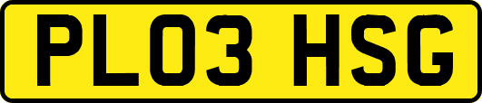 PL03HSG
