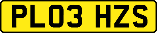PL03HZS