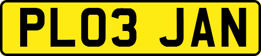 PL03JAN