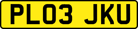 PL03JKU