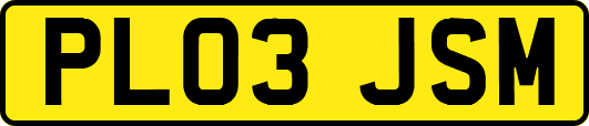 PL03JSM