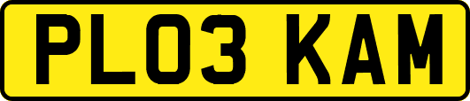 PL03KAM