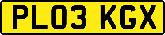 PL03KGX