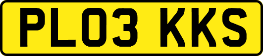 PL03KKS