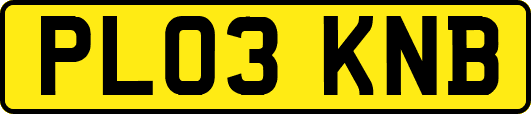 PL03KNB
