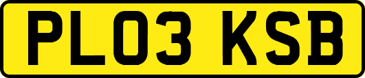 PL03KSB