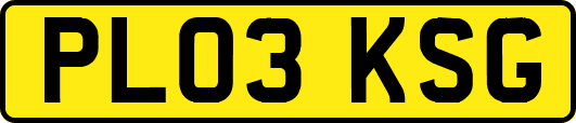 PL03KSG