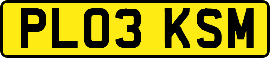 PL03KSM