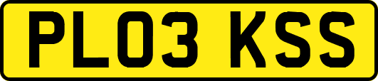 PL03KSS
