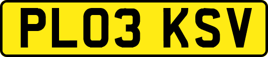 PL03KSV