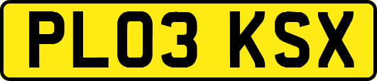 PL03KSX