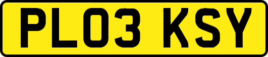 PL03KSY