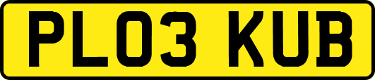 PL03KUB