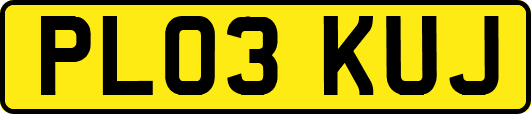 PL03KUJ