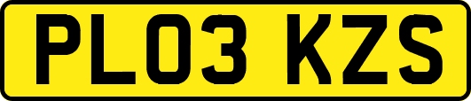 PL03KZS