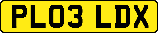 PL03LDX