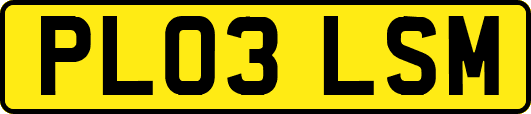 PL03LSM